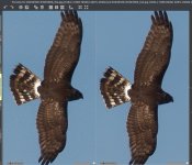 Screenshot 2023-01-10 at 10.07.15small.jpg