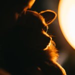 Yuffie Hugs - sq (2 of 2) - B0004188.jpg