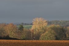 P1075311-1k.jpg