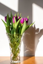 Week 4 - transparent - 3.jpg