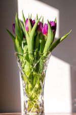 Week 4 - transparent - 4.jpg