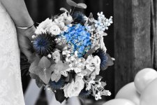 Week 5 - snappers choice.jpg