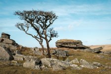 023 Kings Tor (Lone Tree) 02-9945 PS Adj.JPG 023 Kings Tor (Lone Tree) 02-9945 PS Adj.JPG