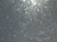 DSCF6467.JPG