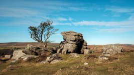 008 Emsworthy Rocks (Tree) 05-9995 PS Adj.JPG 008 Emsworthy Rocks (Tree) 05-9995 PS Adj.JPG