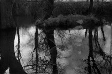 2302CPMEBW17.jpg