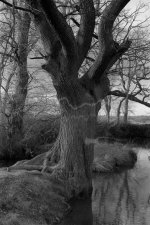 2302CPMEBW18.jpg