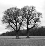 Image 9.jpg Image 9.jpg