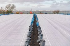 _7810512.jpg