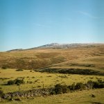 003 Yes Tor 80mm f11 03-053940010004 PS Adj.JPG