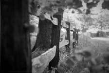 2205EPMXBW06 Rustic fence.jpg