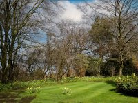 Spring-Back-Garden.jpg