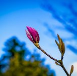 Spring-3.jpg