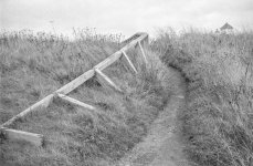 edit broken railing for comp.jpg