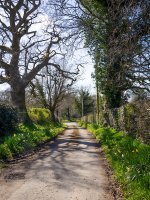 Rural-6.jpg