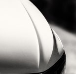 Smooth-Pick-BW.jpg