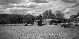 April - Rural.jpg
