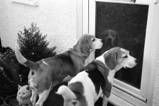IMG_7543.jpeg