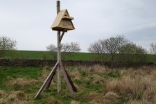 Barn owl box.jpg