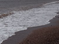 DSCF6640.JPG