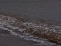 DSCF6641.JPG