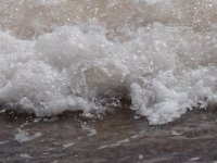 DSCF6644.JPG