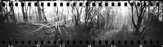 2023-04-30-trix800-sprocket-01.jpg