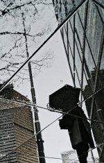 CA67B1D1-98F5-486B-8AB5-4423842688B4.jpeg