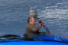 P4282473-1k.jpg