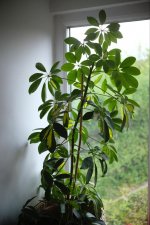 WhatsApp Image 2023-05-05 at 14.40.31.jpeg