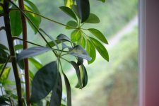 WhatsApp Image 2023-05-05 at 14.40.31 (1).jpeg