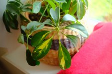 WhatsApp Image 2023-05-05 at 14.40.31 (2).jpeg