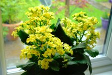 WhatsApp Image 2023-05-05 at 14.40.31 (3).jpeg