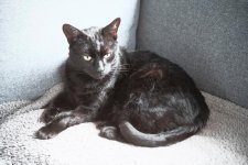 WhatsApp Image 2023-05-05 at 14.40.31 (5).jpeg