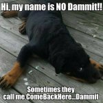 damn.jpg