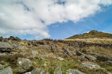 005 Ger Tor 01-1000454 PS Adj.JPG