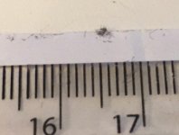 IMG_7685.jpeg IMG_7685.jpeg