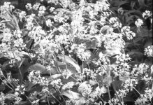 IMG_7686.jpeg IMG_7686.jpeg