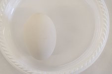 _7823093.jpg _7823093.jpg