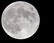 Full moon from the back door FZ82 P1010076.JPG