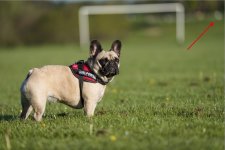 Screenshot 2023-05-10 at 19.41.04.jpg