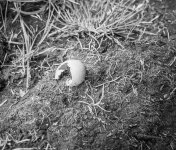 week 19 - Fragile-3.jpg