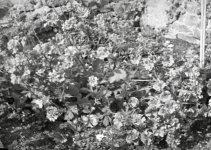 IMG_7771.jpeg IMG_7771.jpeg