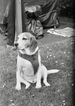 IMG_7770.jpeg IMG_7770.jpeg