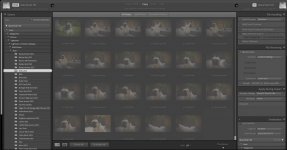 Screenshot 2023-05-15 at 16.41.34.jpg