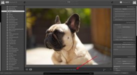 Screenshot 2023-05-15 at 16.46.02.jpg