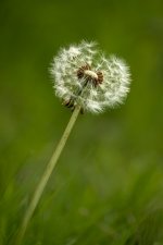 20230515-FXT40255.jpg