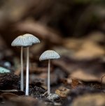 fragile-2.jpg