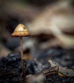 fragile-3.jpg