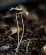 fragile-5.jpg